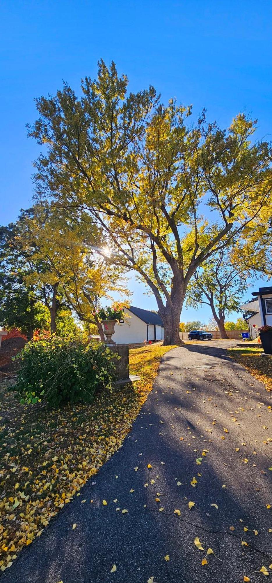 1908 Modern Farmhouse On Large Private Treed Lot Shawnee Exterior foto